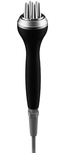 EMS × エレクトロポレーション